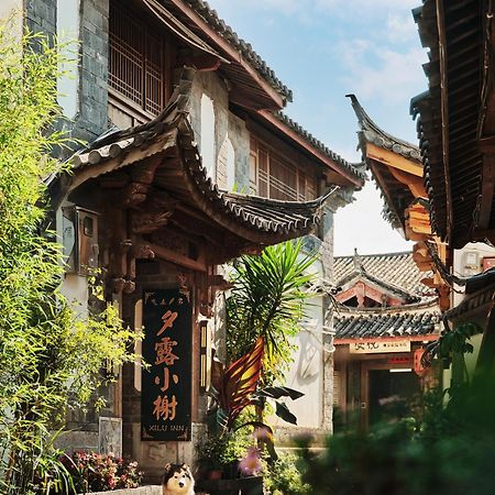 Xilu Xiaoxie Inn Old Town Lijiang Li-ťiang Exteriér fotografie