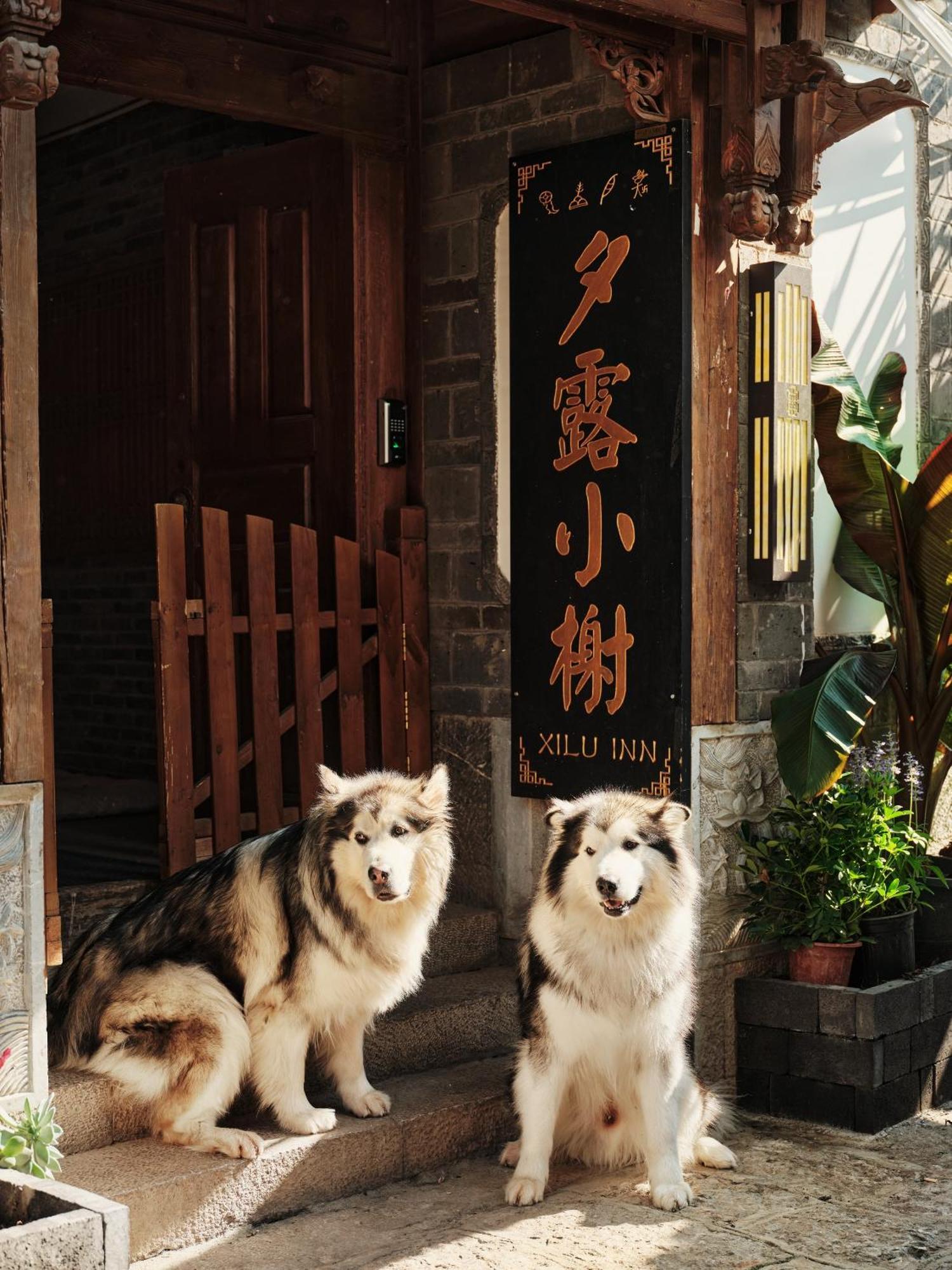 Xilu Xiaoxie Inn Old Town Lijiang Li-ťiang Exteriér fotografie