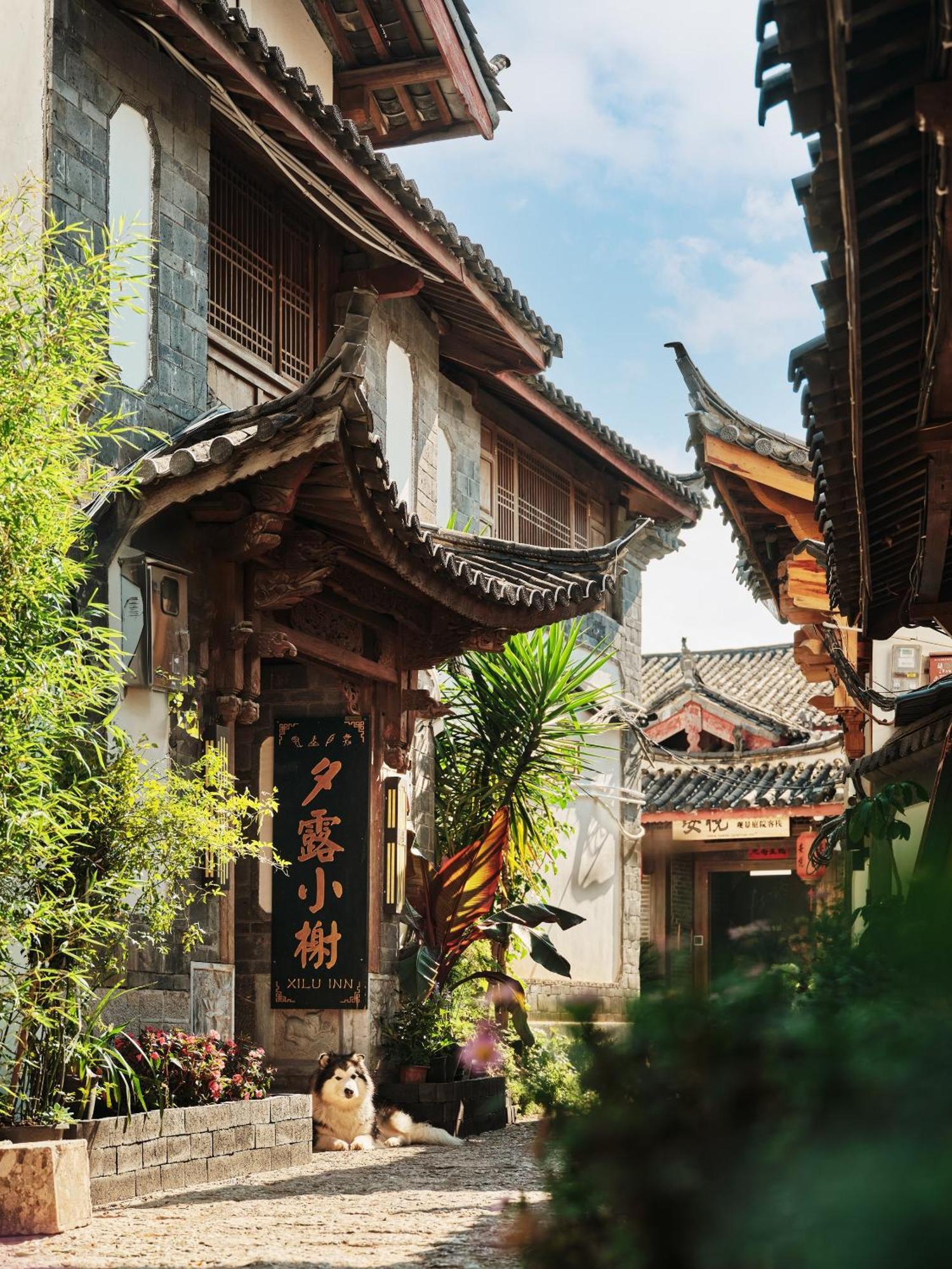 Xilu Xiaoxie Inn Old Town Lijiang Li-ťiang Exteriér fotografie