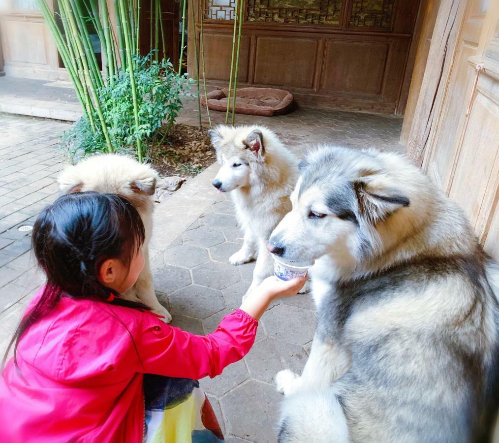 Xilu Xiaoxie Inn Old Town Lijiang Li-ťiang Exteriér fotografie